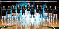 Team Photos - C