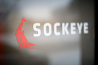 Sockeye